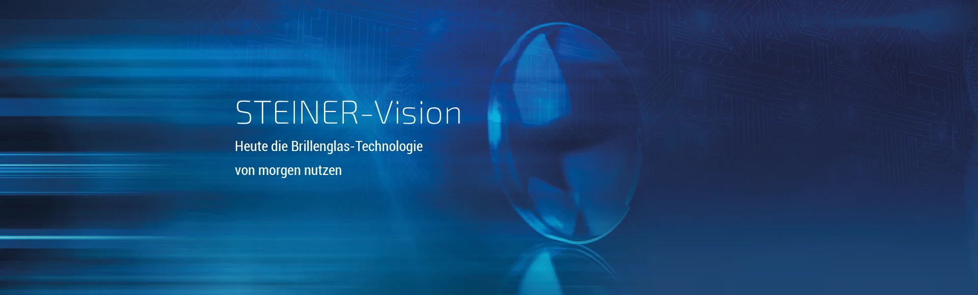 steiner-vision.de